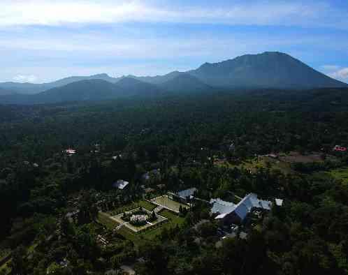 プリムローズガーデン 森と水の教会の写真2