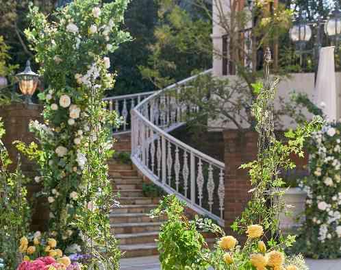 エルセルモ広島の写真3