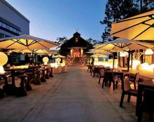 ザ・チェルシーの画像1