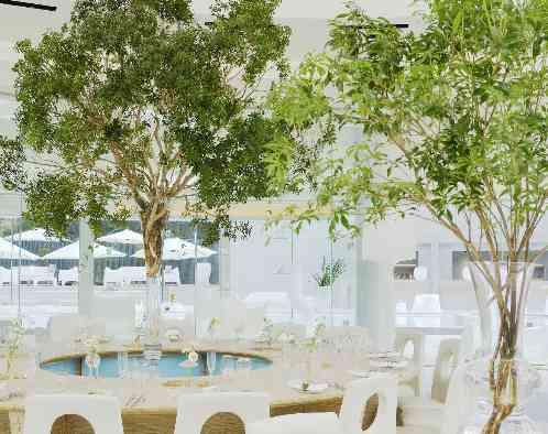 ザ・チェルシーの写真6