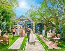 グリーンカーメルの画像3