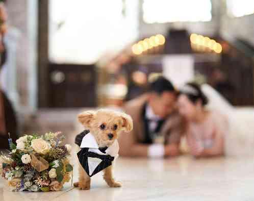 グランドパティオ都城の写真1