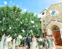 エヴァウインのサムネイル写真