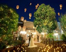 モアフィールの画像3