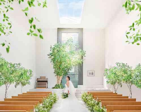 ブランレヴュー宇都宮 アクアテラスの画像4