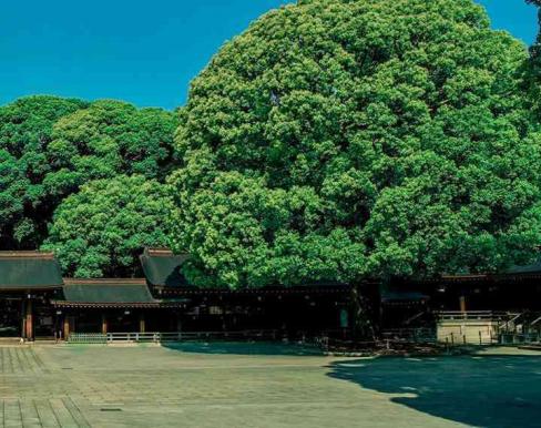 明治神宮・明治記念館の画像3