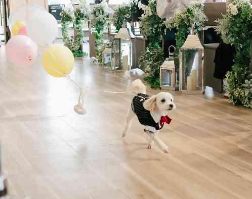 三河湾リゾートリンクス迎賓館の画像4