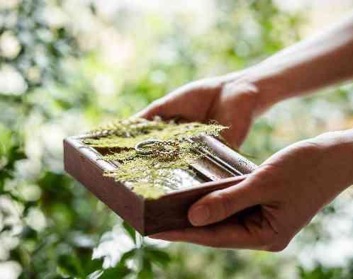 アール・ベル・アンジェ堺の画像6