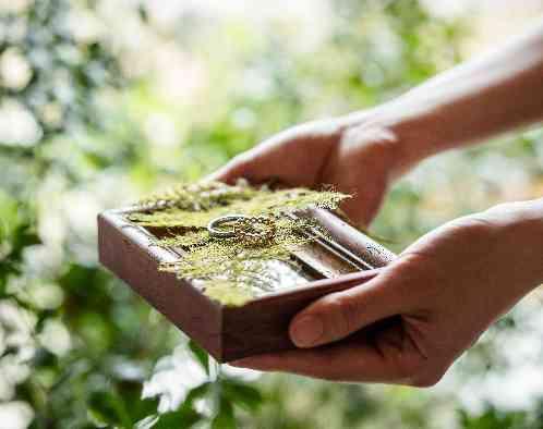 アール・ベル・アンジェ堺の画像4