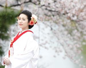 ホテルニューオータニ佐賀の画像3