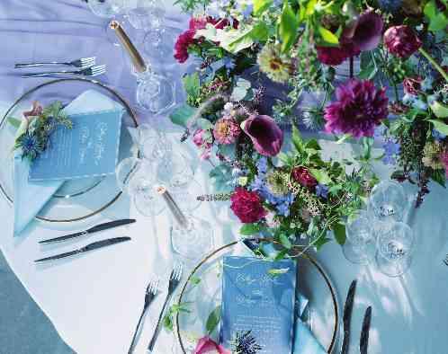 LUCIS(ルーキス)の写真6