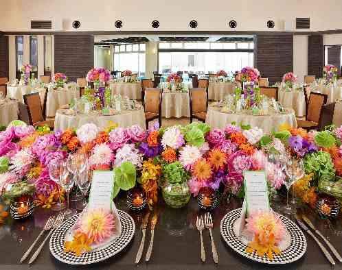 ALCAZAR AVVIO(アルカーサル・アヴィオ)の写真4