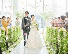 アルカーサル・アヴィオの画像1