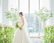 アルカーサル・アヴィオの画像1