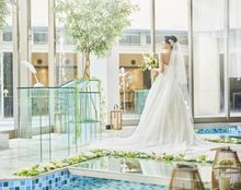 アルカーサル・アヴィオの画像2