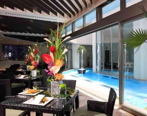 ALCAZAR AVVIO（アルカーサル・アヴィオ）の写真4