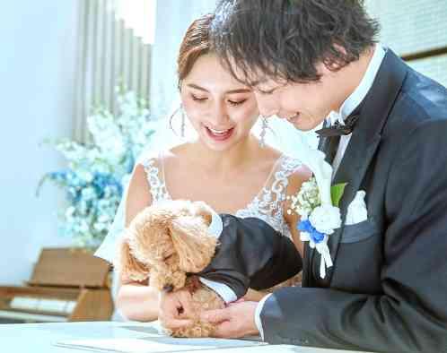 ザ・リュクス銀座の写真2