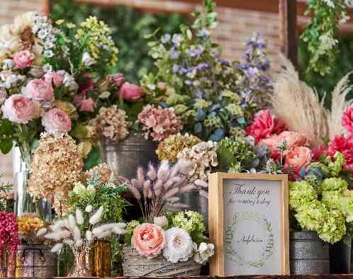 アンフェリシオンの写真4