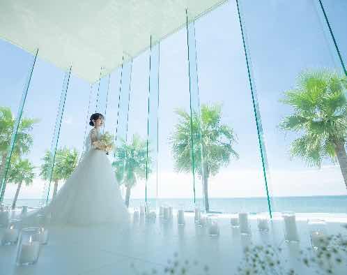 マウロ・アネーラの写真1