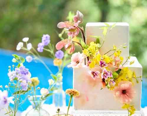 Bleu Blanc(ブルー:ブラン)●BRASSグループの画像2