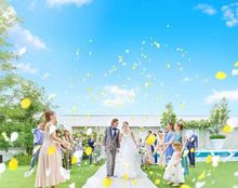 ブラン:ベージュの画像2