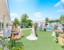 ブラン:ベージュの画像4