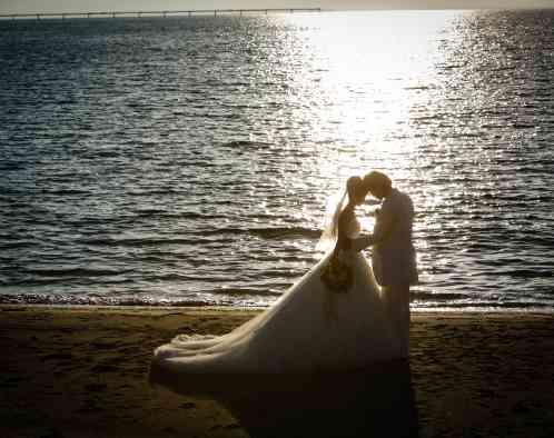 中部国際空港セントレアの写真4