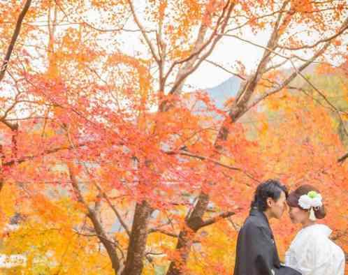 アールベルアンジェMieの画像6