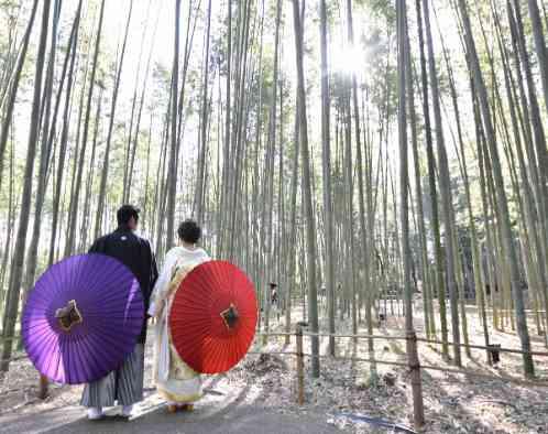 二条城チャペル セント・アベニールの画像4
