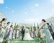 東京アフロディテの画像4