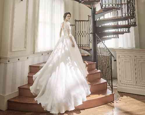 東京アフロディテの写真1