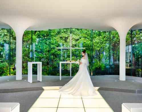 ラヴィーナ姫路の写真1