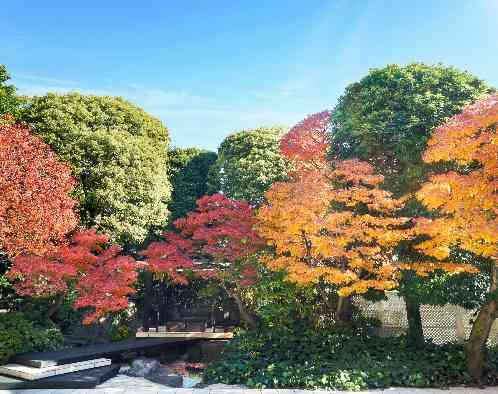 白金迎賓館 アートグレイスクラブの画像6