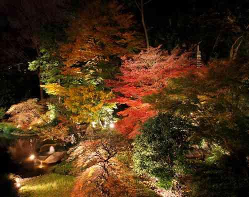 シェラトン都ホテル東京の画像6