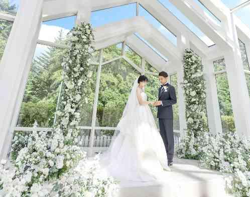 アートグレイス フォレスト迎賓館の画像2