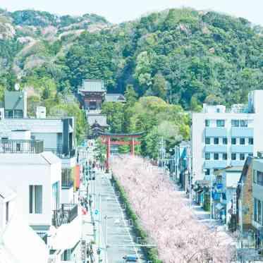 KOTOWA 鎌倉 鶴ヶ岡会館の画像1