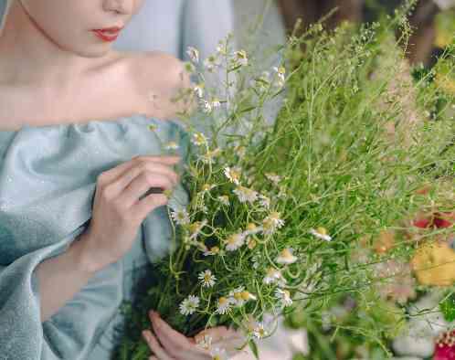 クッチーナ パージナの写真6