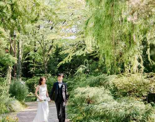 クッチーナ パージナの画像2