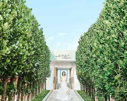 白の教会/アールイズ・ウエディングの写真3