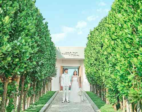 白の教会/アールイズ・ウエディングの写真3