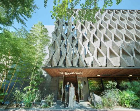 ザ テンダーハウス