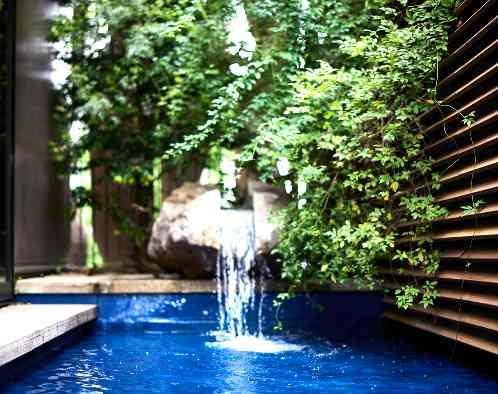 THE TENDER HOUSE(ザ　テンダーハウス)の写真6