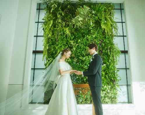 パラッツォ ドゥカーレ 麻布の画像2