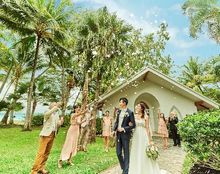 アラマンダグレートバリアリーフの画像2