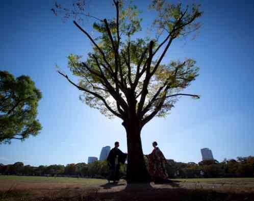 大阪城西の丸庭園 大阪迎賓館の写真2