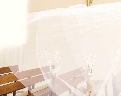 Things Aoyama Organic Garden. dthの画像2