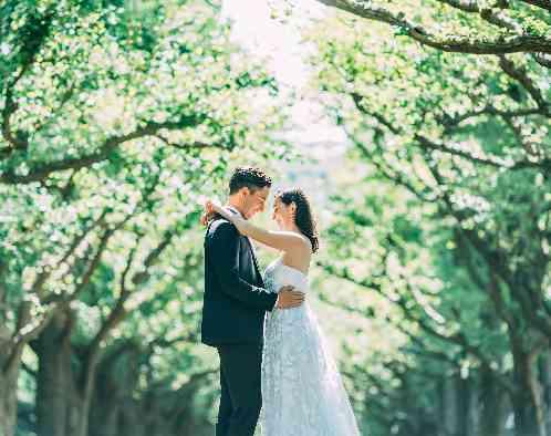 Casa d' Angela Aoyamaの写真3