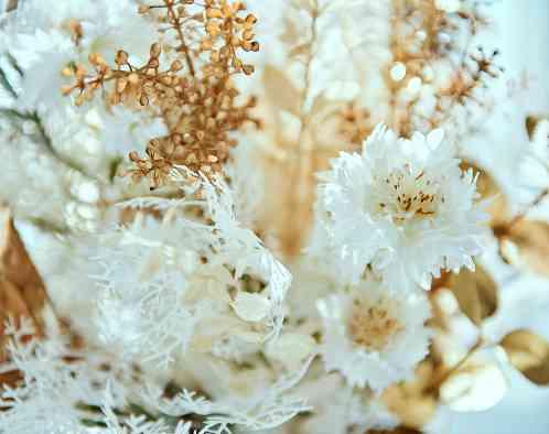 アヴァンセ リアン 大阪の画像3