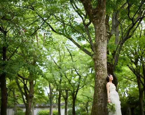 THE LANDMARK SQUARE OSAKA (ザ ランドマークスクエア オオサカ)の写真2