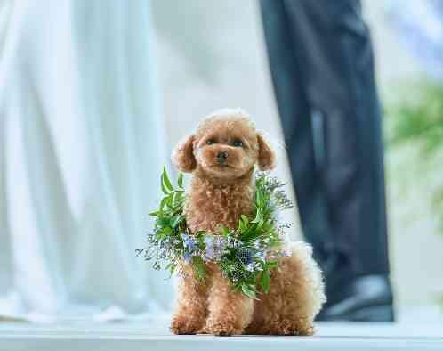 ザ・ペニンシュラ東京の画像4